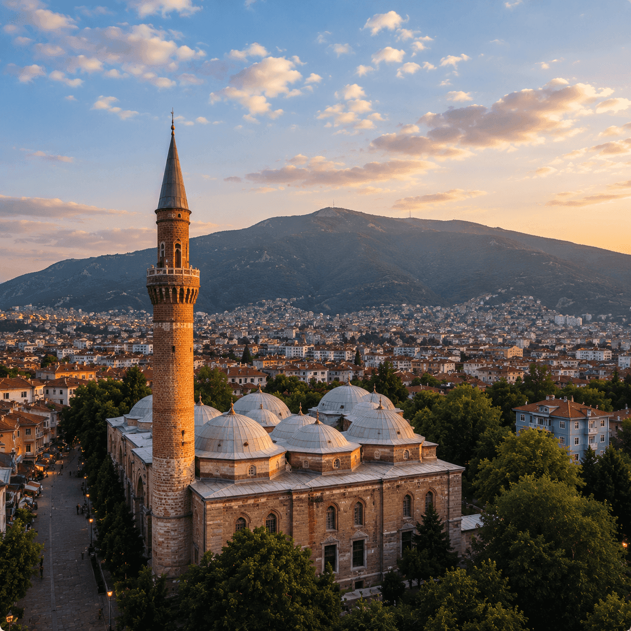 Bursa